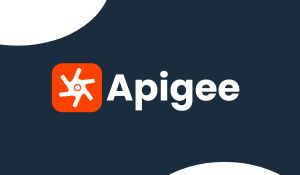 Apigee Certification Training