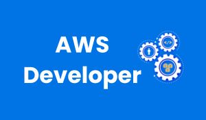 AWS Developer Certification Training
