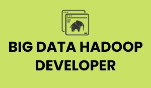 Big Data Hadoop developer Training