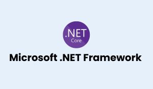 Microsoft .NET Framework Training