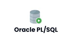 Oracle PL/SQL Training