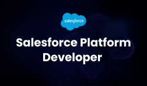 Salesforce Platform Developer Training